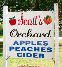 About Us - Scott's OrchardScott's Orchard