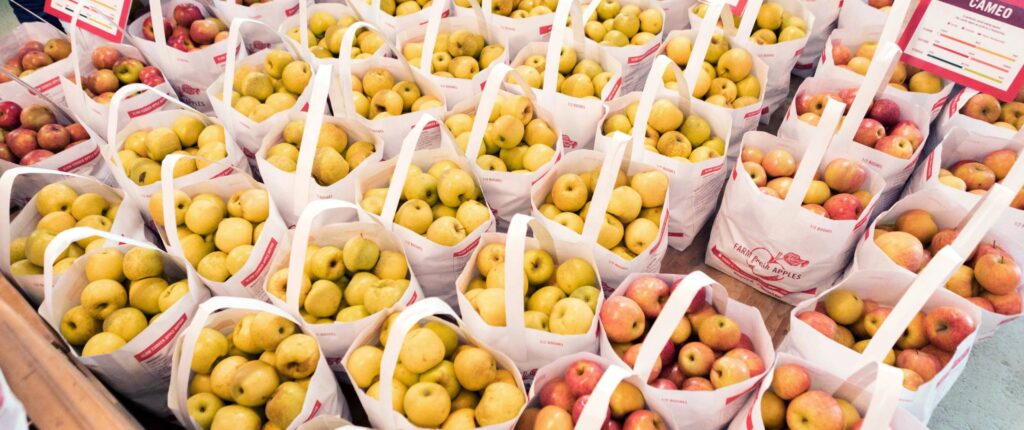 Apple season is still in full swing, so stop by our store and pick up some delicious and fresh apples! We’re open 7 days a week until December 21st.