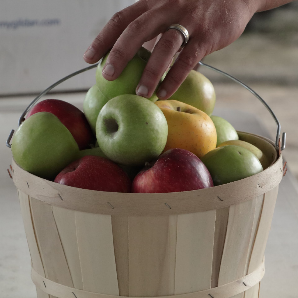 Pick fresh apples at Scott’s Orchard from Labor Day through October!