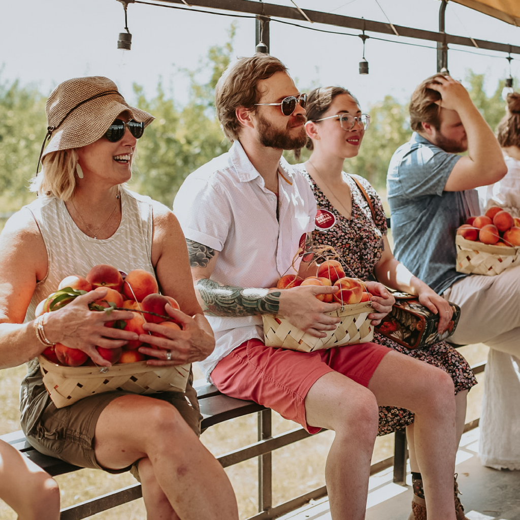 Pick juicy Alabama peaches straight from the tree at Scott's Orchard!