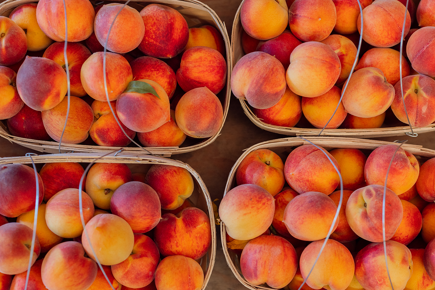 Pick juicy southern peaches straight from the tree at Scott's Orchard! Secure your summer time slot online today for fruit picking and a wagon ride.