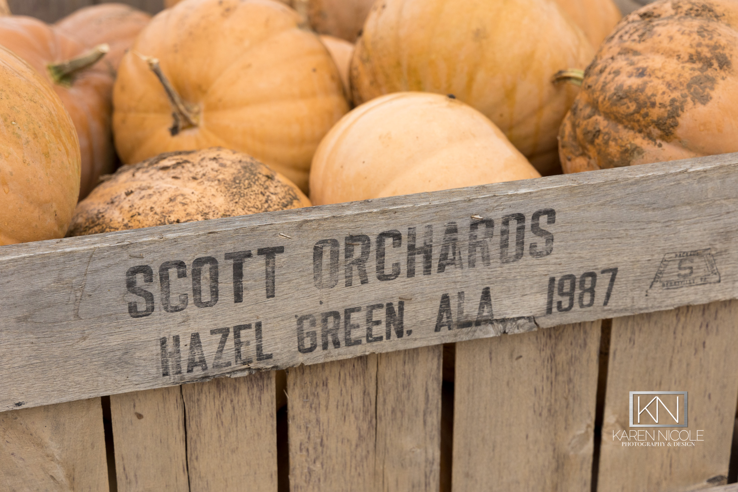 Connecting Community & Farm | Scott’s Orchard