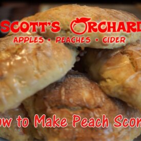 Peach Scones