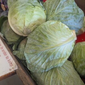 Cabbage