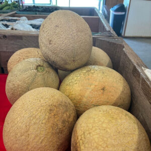 Cantaloupe