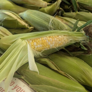 Corn