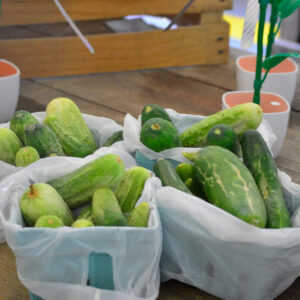 Cucumbers
