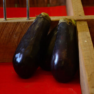 Eggplant