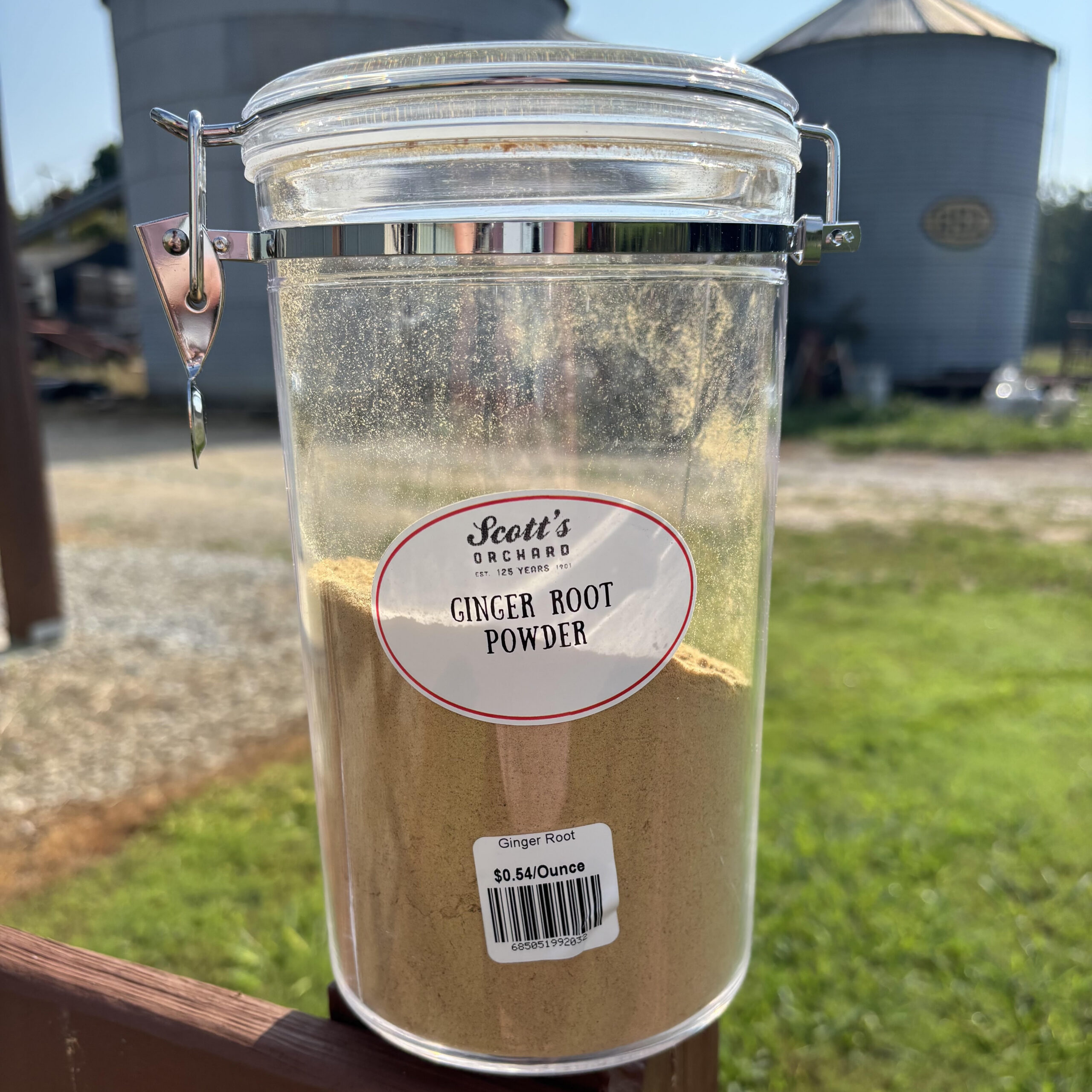 Ginger Root