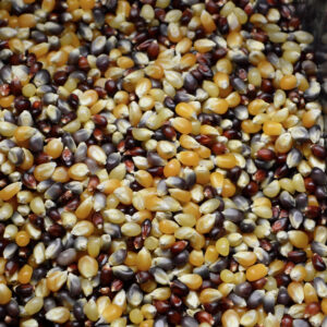 Multicolored Popcorn