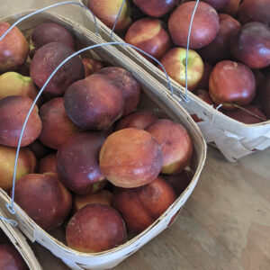 Nectarines