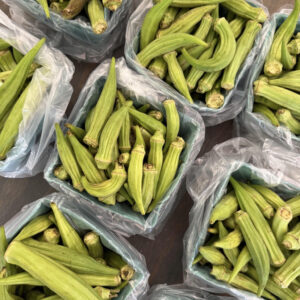 Okra