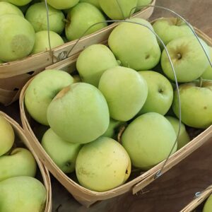 Peck Summer Apples