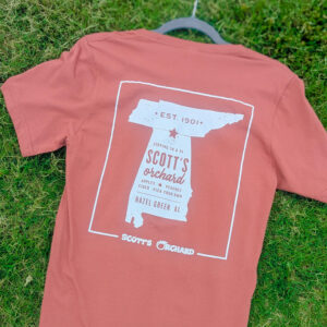 Retro 2017 T-Shirt