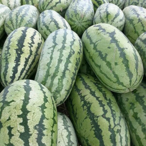 Watermelon