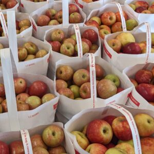 Winesap